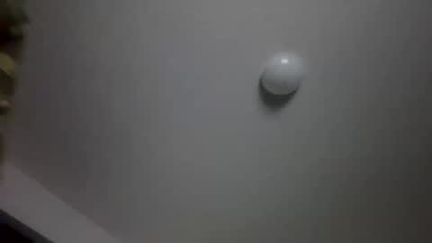 w1llfull_disobediance online show from September 18, 2025, 9:00 am