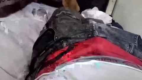 walt3rmex online show from September 10, 2025, 10:54 pm