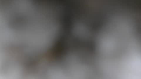 wantmymantofukme online show from October 21, 2025, 6:19 pm