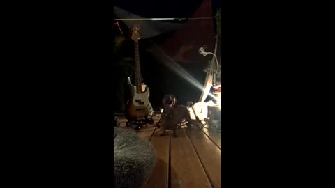 watershed111111 online show from February 19, 2026, 3:13 am