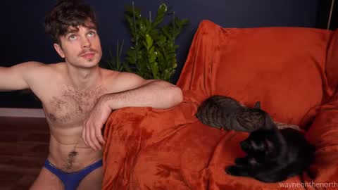 Snapshot of waynenorth chatting on November 22, 2025, 4:39 pm waynenorth online show from November 22, 2025, 4:39 pm