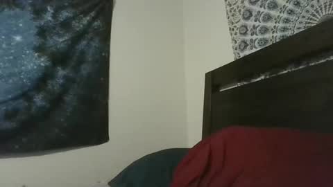 Snapshot of wd40willy chatting on March 19, 2026, 5:00 am Viking Man online show from March 19, 2026, 5:00 am