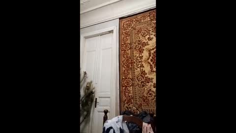 Snapshot of webgirl2 chatting on February 26, 2025, 4:14 pm Marina online show from February 26, 2025, 4:14 pm