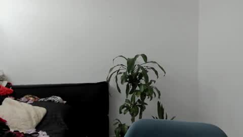 Snapshot of west_ta chatting on September 17, 2025, 4:08 pm tatty online show from September 17, 2025, 4:08 pm