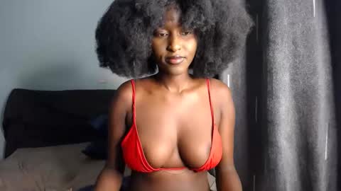 Macey online show from November 11, 2025, 6:57 am