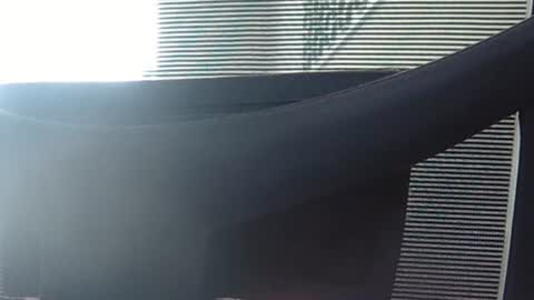 Snapshot of wetbigdickstream chatting on June 13, 2026, 12:14 pm Wetbigdickstream online show from June 13, 2026, 12:14 pm