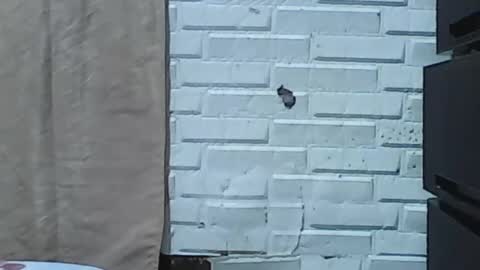 wettyhottie69 online show from February 3, 2026, 6:11 am