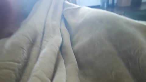 Snapshot of what_whaaat chatting on November 3, 2025, 9:16 pm what_whaaat online show from November 3, 2025, 9:16 pm