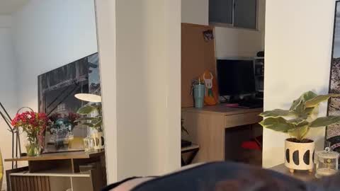 Aleska online show from March 9, 2026, 11:53 pm