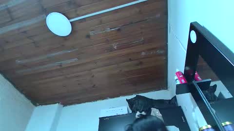 white_sexy_ online show from January 10, 2026, 11:09 pm