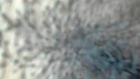 white_sexy_ online show from January 18, 2026, 11:30 pm