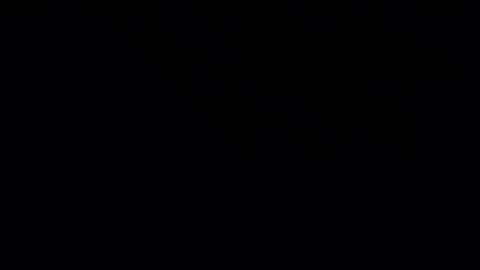 whitehead_lion online show from January 20, 2025, 7:57 pm