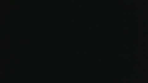 whitehead_lion online show from March 14, 2026, 11:04 am