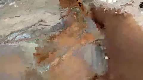 whitelava_4u online show from November 30, 2025, 8:18 am