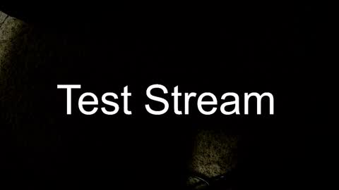 Snapshot of whowhat314159 chatting on October 30, 2025, 3:30 am Will online show from October 30, 2025, 3:30 am