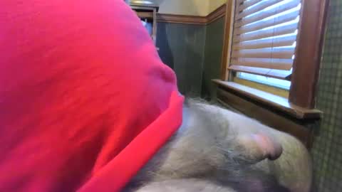 Snapshot of whydog chatting on January 4, 2025, 10:24 pm whydog online show from January 4, 2025, 10:24 pm