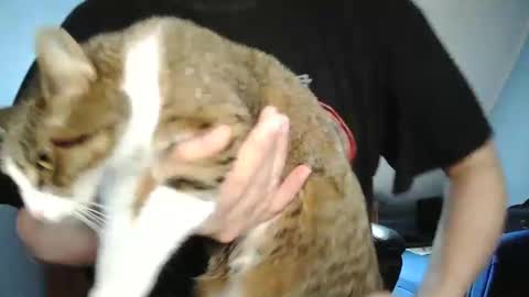 Snapshot of wickes71 chatting on December 30, 2024, 10:21 am Tommy online show from December 30, 2024, 10:21 am