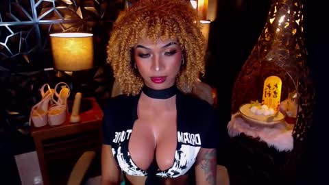 wildara online show from March 3, 2025, 7:21 am