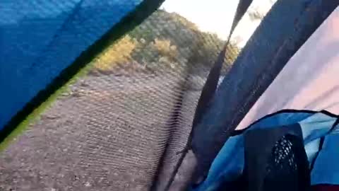 wildernessgoddess online show from November 14, 2025, 11:46 pm