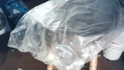 wildman6 online show from November 2, 2025, 8:44 pm