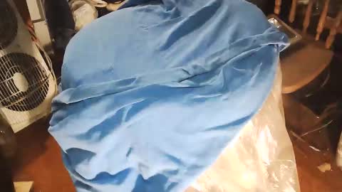 wildman6 online show from January 10, 2026, 8:43 pm