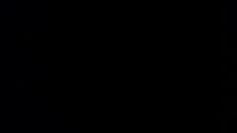 williewants online show from February 13, 2026, 10:22 am