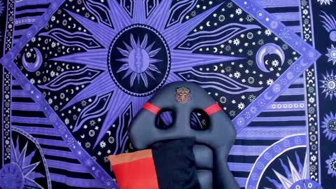 willy_veins online show from December 21, 2024, 4:52 am