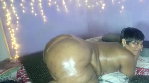 wilmaassylum online show from October 12, 2025, 10:36 am