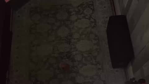 Snapshot of wipwips chatting on February 11, 2026, 6:40 am KiwiFruit89 online show from February 11, 2026, 6:40 am