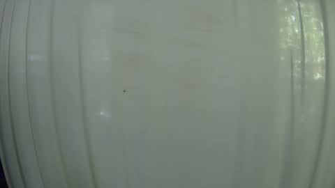 Mater online show from October 7, 2025, 7:55 pm