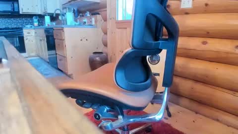 Snapshot of wobbleon chatting on January 3, 2025, 10:19 pm Gobbleon online show from January 3, 2025, 10:19 pm