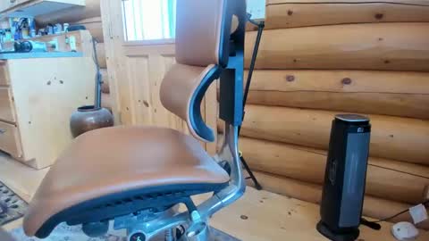 Snapshot of wobbleon chatting on February 12, 2025, 7:45 pm Gobbleon online show from February 12, 2025, 7:45 pm