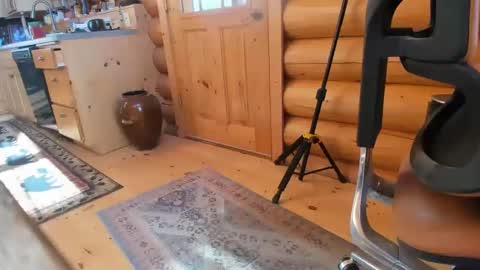 Snapshot of wobbleon chatting on March 12, 2025, 10:28 pm Gobbleon online show from March 12, 2025, 10:28 pm