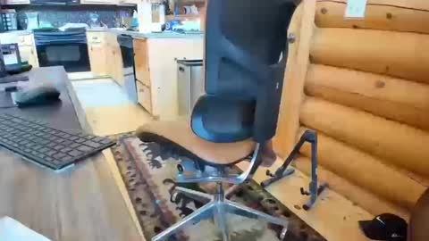 Snapshot of wobbleon chatting on October 16, 2025, 6:31 pm Gobbleon online show from October 16, 2025, 6:31 pm