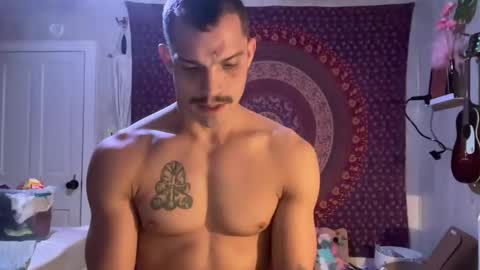 Snapshot of wolfblazer5 chatting on February 2, 2025, 10:24 am Wolfblazer online show from February 2, 2025, 10:24 am