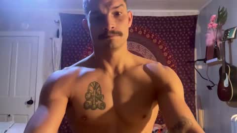 Snapshot of wolfblazer5 chatting on February 10, 2025, 10:53 am Wolfblazer online show from February 10, 2025, 10:53 am