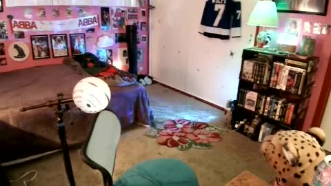 Wolfie online show from January 9, 2025, 10:31 pm