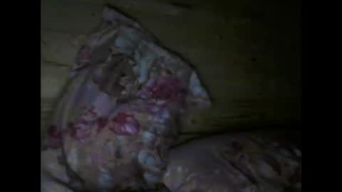 Vili online show from April 15, 2026, 6:37 pm