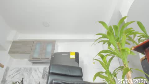 rebekah online show from March 25, 2026, 11:22 pm