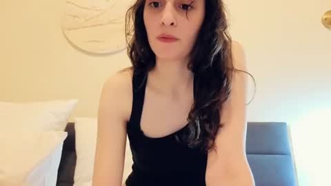 Stia online show from July 28, 2026, 7:39 pm