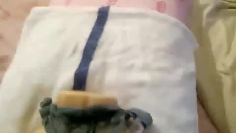 wood6957 online show from November 1, 2025, 12:29 pm