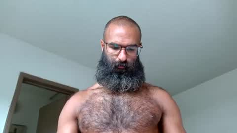 Snapshot of woof_wolf37 chatting on June 21, 2026, 3:47 pm woof_wolf37 online show from June 21, 2026, 3:47 pm