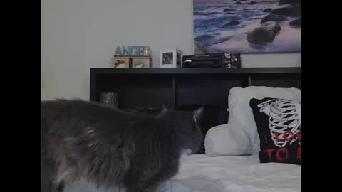 Crystal Lake online show from September 25, 2025, 10:19 am