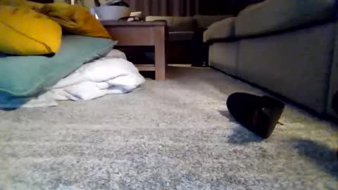 Snapshot of wyndir chatting on November 15, 2025, 7:32 pm wyndir online show from November 15, 2025, 7:32 pm