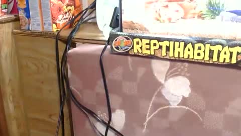 x2kayx2 online show from January 13, 2026, 9:42 pm