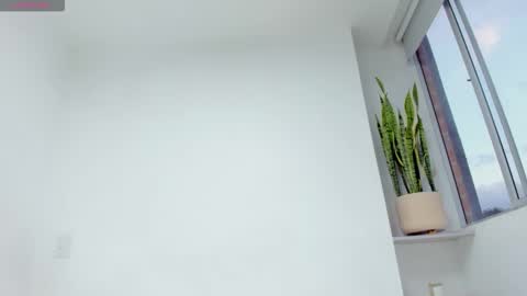 Xavier online show from December 17, 2025, 10:49 pm