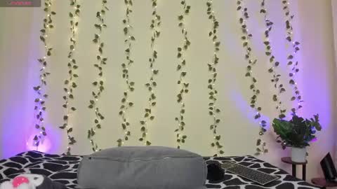    online show from June 27, 2026, 10:04 pm