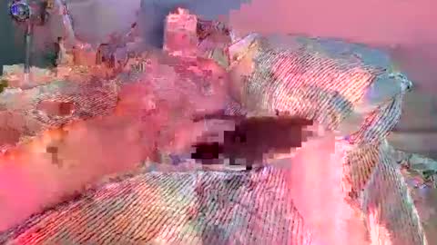 xmilestownsend online show from December 16, 2024, 6:38 pm