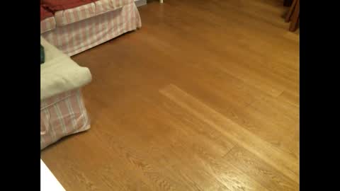 Snapshot of xmystiqdreamsx chatting on January 26, 2025, 12:01 pm xmystiqdreamsx online show from January 26, 2025, 12:01 pm