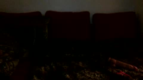 Snapshot of xoviolettt chatting on February 16, 2025, 6:43 am 3 online show from February 16, 2025, 6:43 am